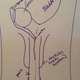 Illustration for article titled Can You Draw an Anatomically Correct Penis? An Experiment